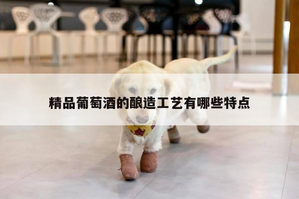 精品葡萄酒的酿造工艺有哪些特点