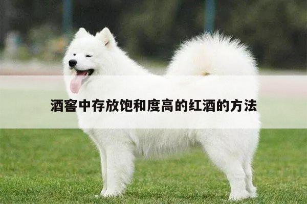 酒窖中存放饱和度高的红酒的方法