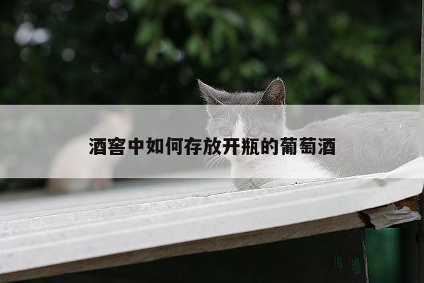 酒窖中如何存放开瓶的葡萄酒