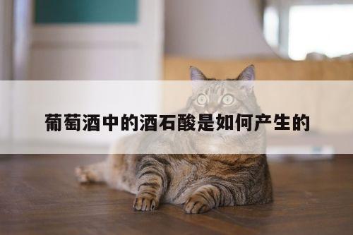 葡萄酒中的酒石酸是如何产生的