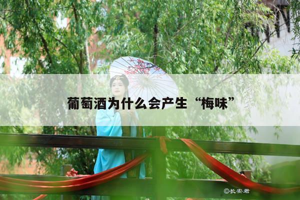 葡萄酒为什么会产生“梅味”