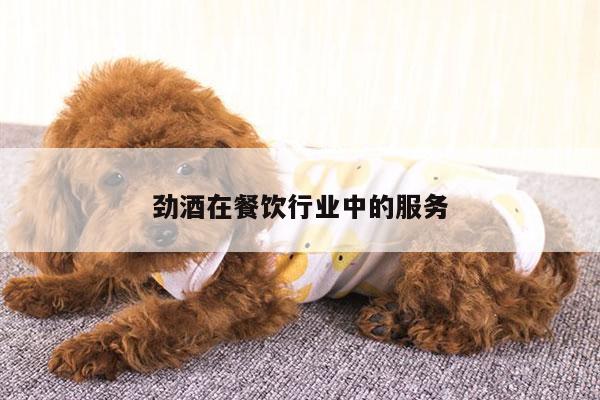 劲酒在餐饮行业中的服务