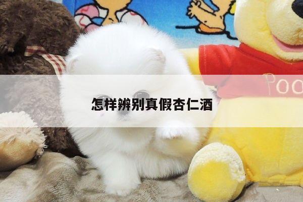 怎样辨别真假杏仁酒